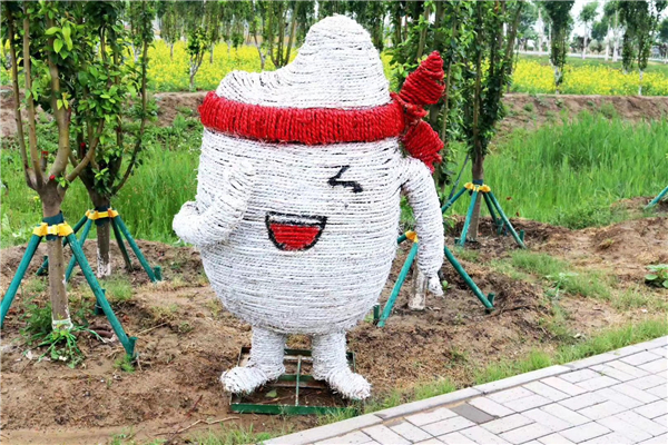 图片(10).jpg