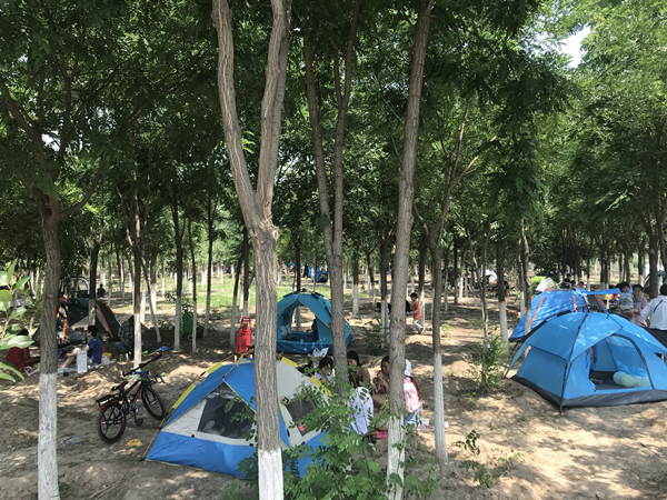 天津西青郊野公园一日游